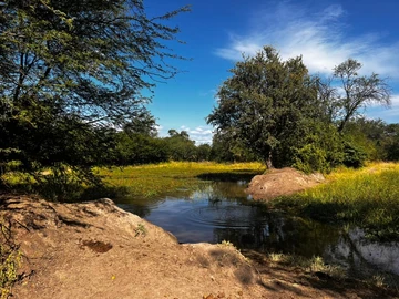 Not a moment of life is wasted on a farm - Nyamandhlovu Area