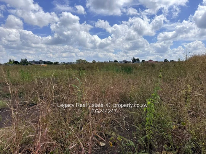 Good Investment Opportunity - Corner Stand in a Prime location.