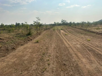 Farm & Agricultural Land