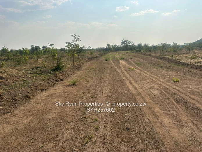 Knockmallock Estate, Norton – Agro-Residential Plots For Sale 