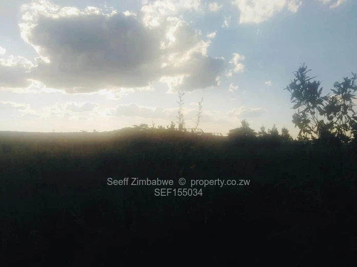 Experience The Nyanga Lifestyle, In Nature's Luxury