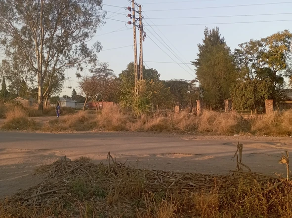 Stands & Residential Land