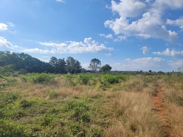 Stands & Residential Land