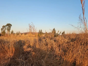 Elite Land Offering – 3,058m² Galloway Plot with Zvimba Cession