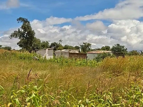 Farm & Agricultural Land