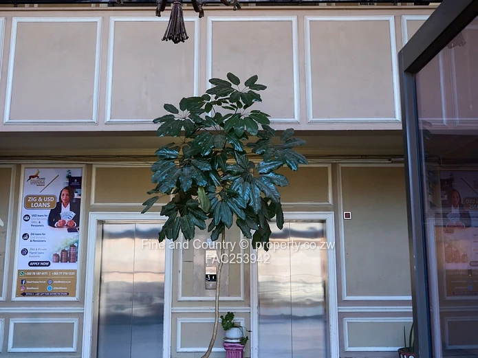 Prime Commercial Property