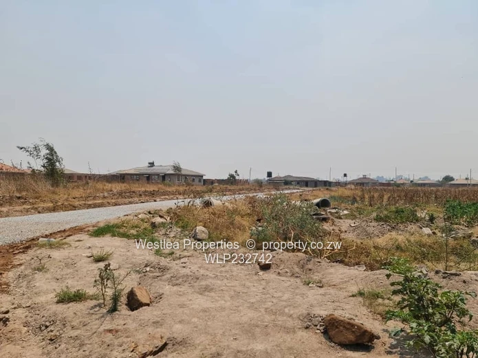 An opportunity not to miss