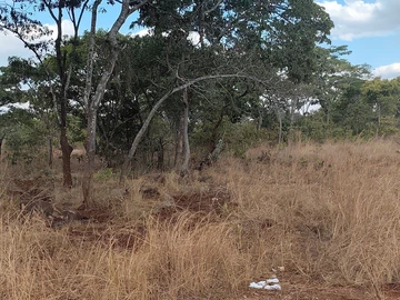 Farm & Agricultural Land
