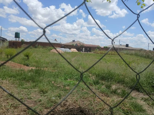 Stands & Residential Land