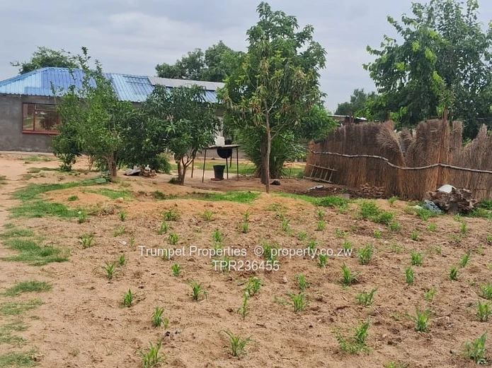 Blue-Roofed 4-Bed on 2000m² with Garden & Tiled Floors