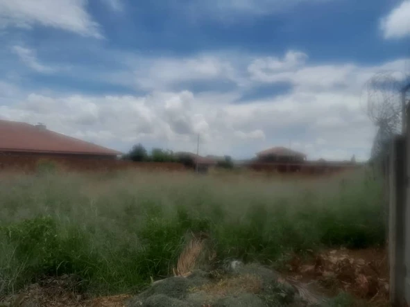 Stands & Residential Land