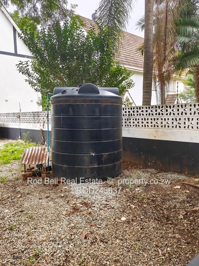 Avondale West: 2-Bed Garden Flat