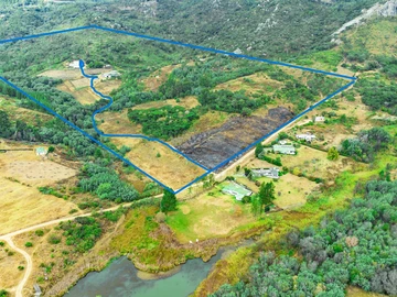 Farm & Agricultural Land