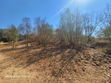 Stands & Residential Land