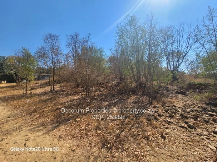 Glenlorne Kambanji stand with self contained 3 bedroomed cottage for sale (Sole Mandate)