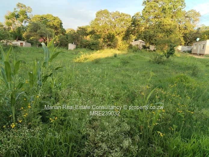 Hillside Stand, FOR SALE