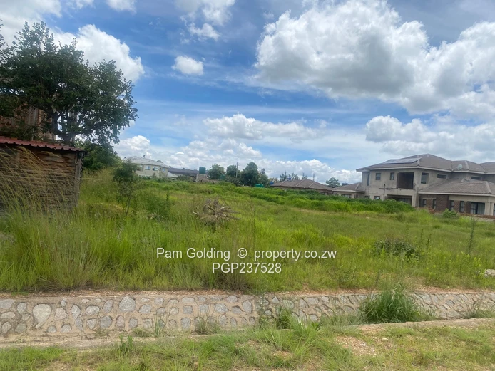 Arlington stand for sale