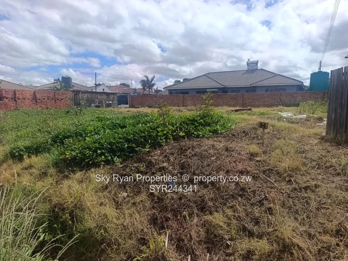 Madokero Tynwald North Stand For Sale 