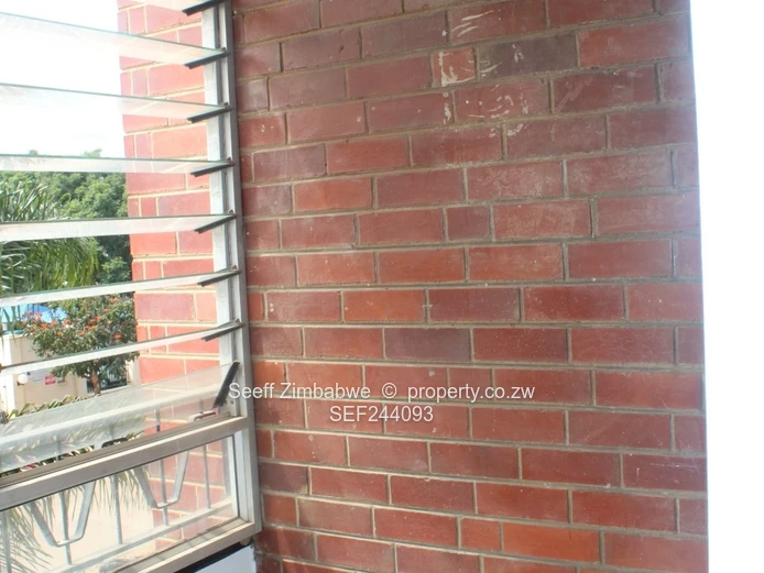 Flat To Let In The Avenues Area (Sole Mandate)