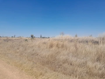 Farm & Agricultural Land