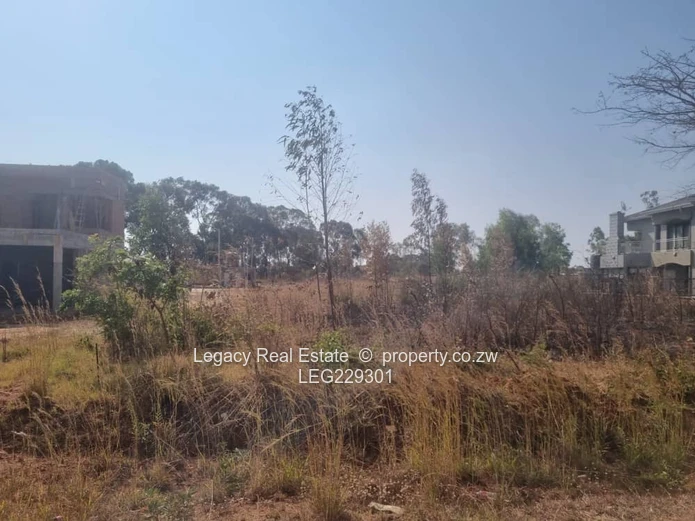 Arlington Estate Stand for Sale