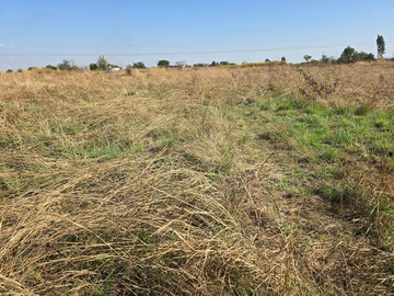 Stands & Residential Land