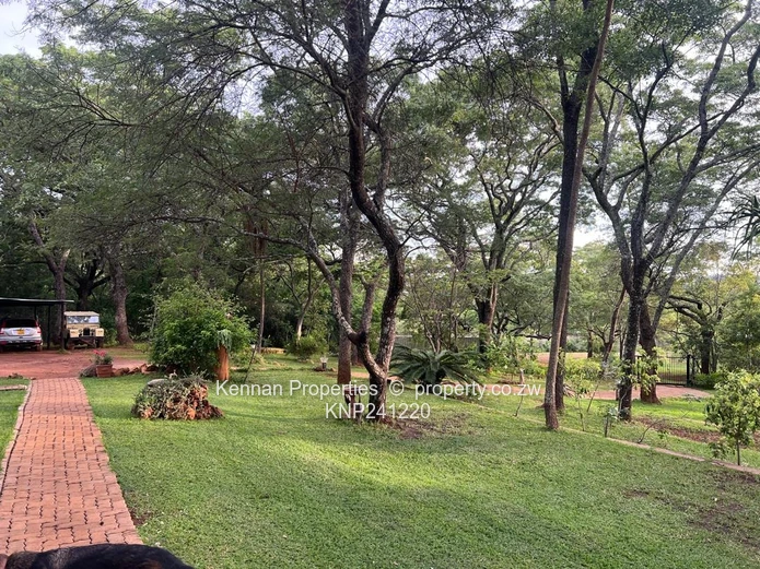 Spacious property on 7,5acres of land with beautiful msasa trees