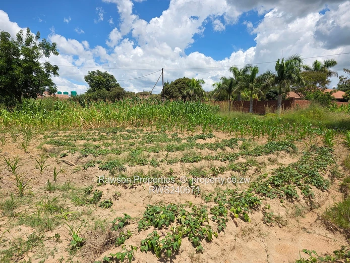  New on the market  (Sole Mandate)