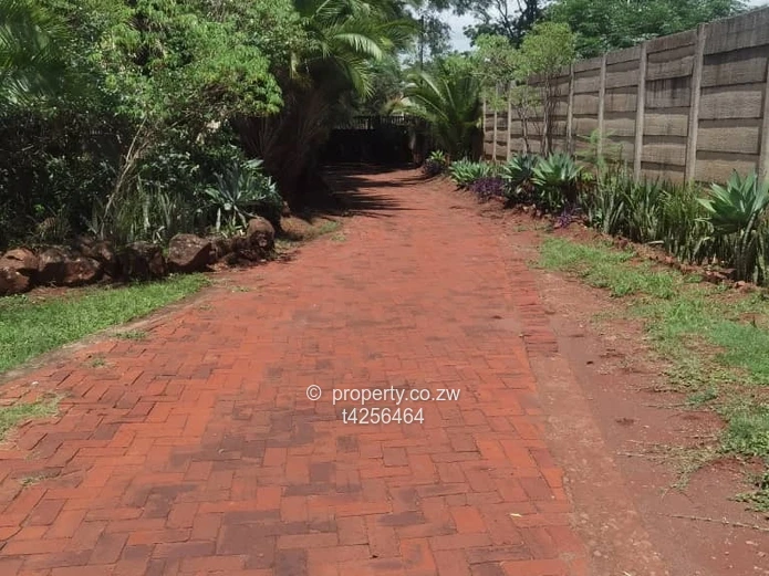 Bluffhill house to rent 