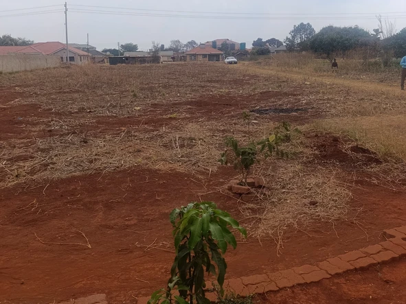 Stands & Residential Land