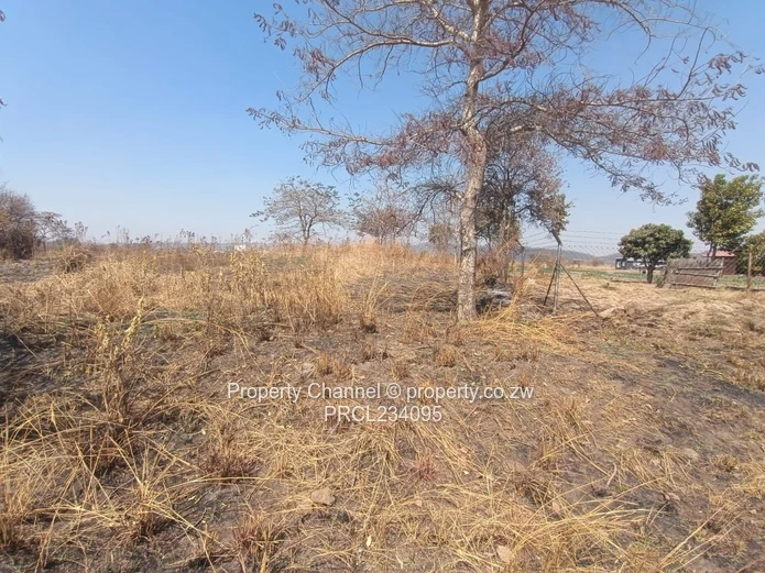 Prime Land Idea for School or Clusters. GALLOWAY NORTON