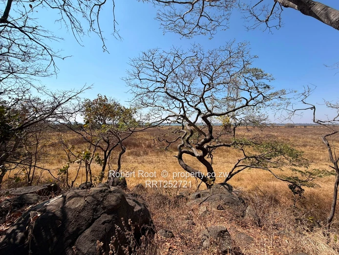 1.56ha at Darwendale with Lake View