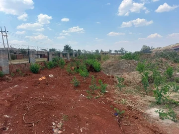 Stands & Residential Land