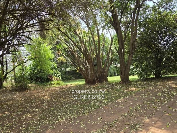 Sprawling Family Residence in Chisipite  for Sale