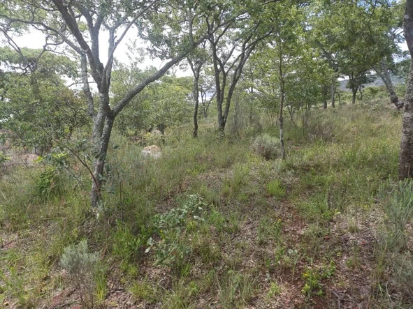 Farm & Agricultural Land