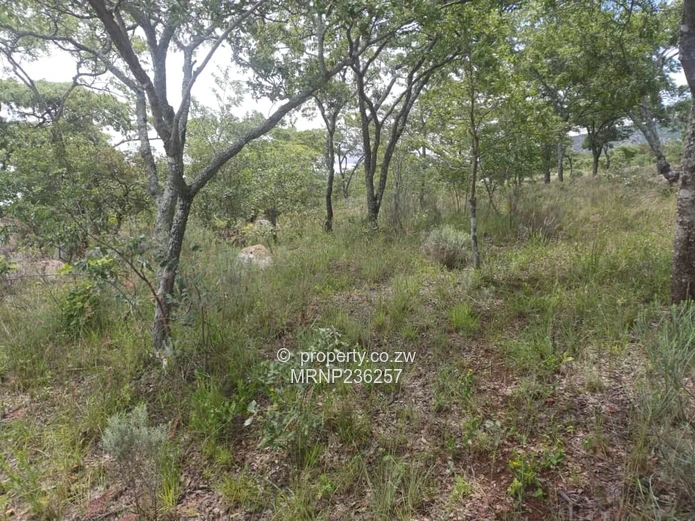 Headlands EagleNest Plot for sale (Sole Mandate)