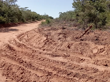 Farm & Agricultural Land