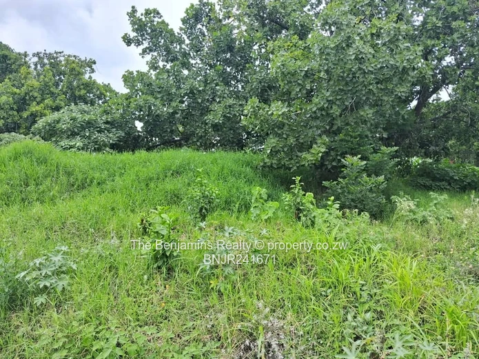 Land For Sale In Prime Location