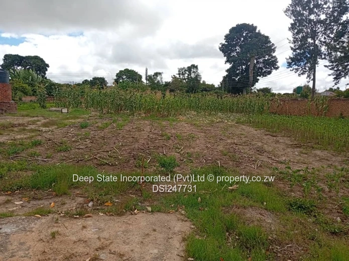 Hatfield subdivision stand for sale