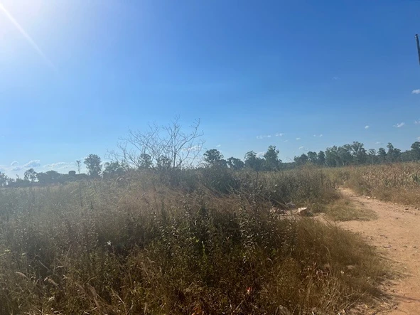 Commercial & Industrial Land