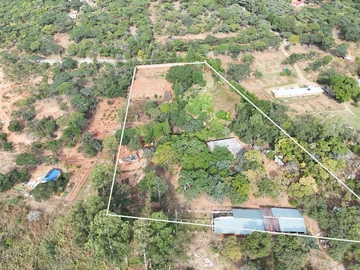 Farm & Agricultural Land