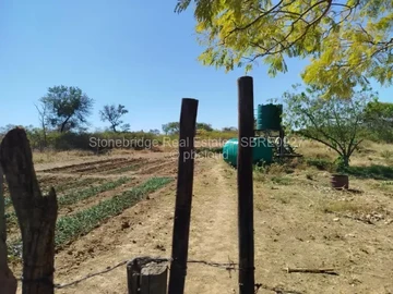 Farm & Agricultural Land