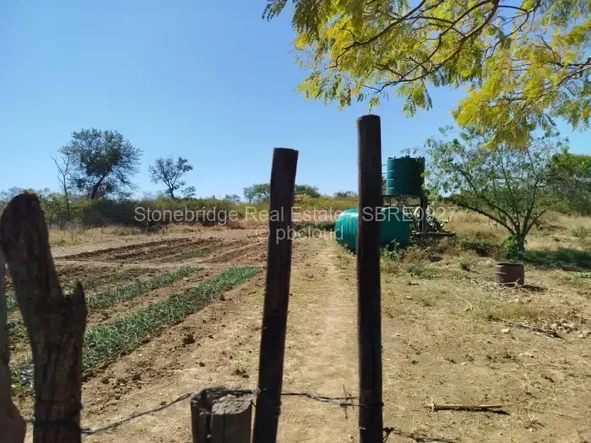 Farm & Agricultural Land
