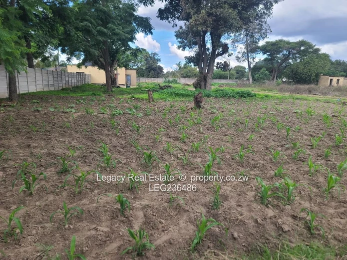 Prime Subdivision Stand For Sale – Waterfalls Near Zindoga Shops