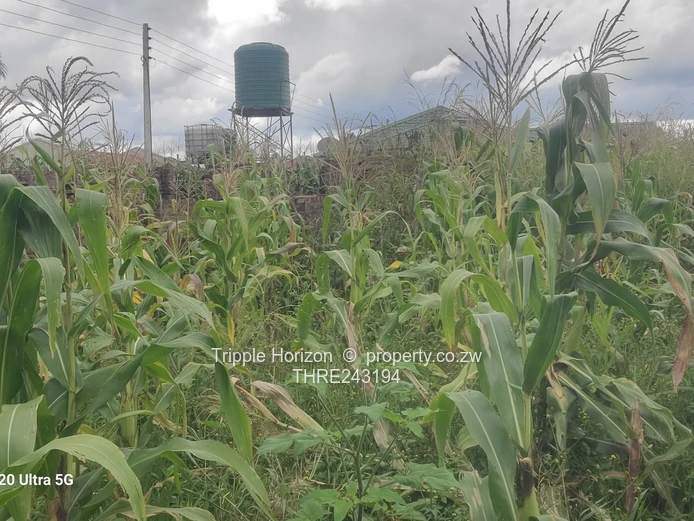 Great investment opportunity 