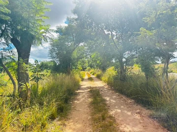 Farm & Agricultural Land