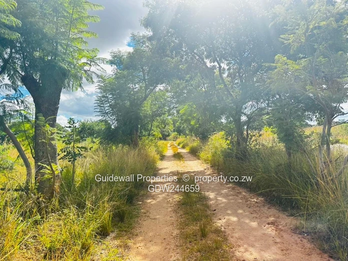 For Sale: 2.9ha Plot in Ruwa  (Sole Mandate)