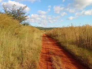 Farm & Agricultural Land