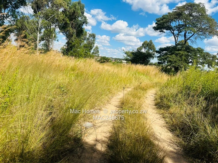 Prime 6.3091 hectares Land for Sale – Along Tarisa Road, Springvale, Ruwa  (Sole Mandate)