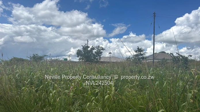 Crowhill views Ruyamuro